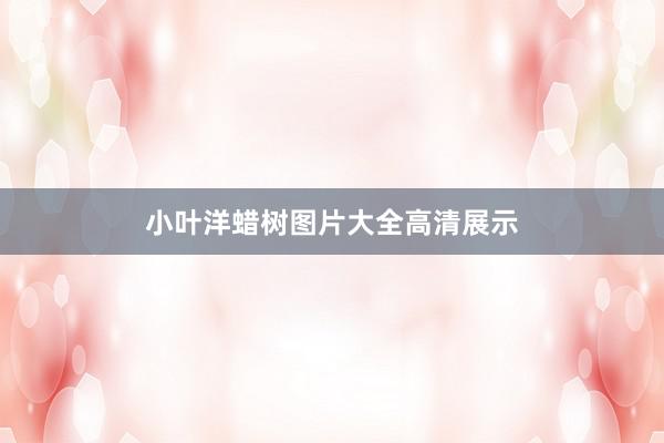 小叶洋蜡树图片大全高清展示