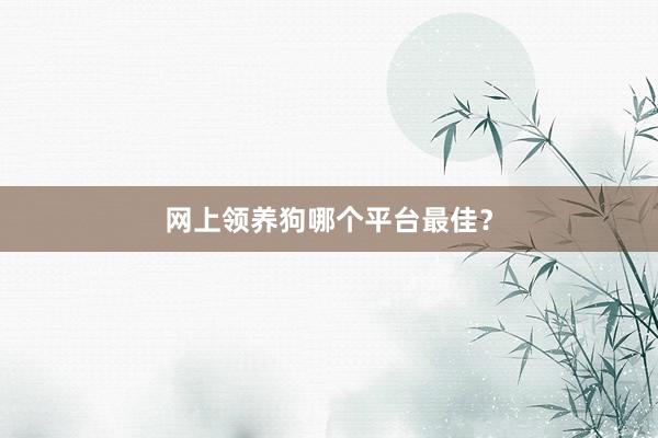 网上领养狗哪个平台最佳?