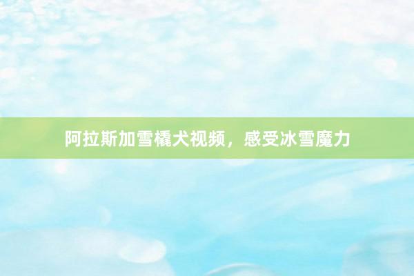 阿拉斯加雪橇犬视频,感受冰雪魔力