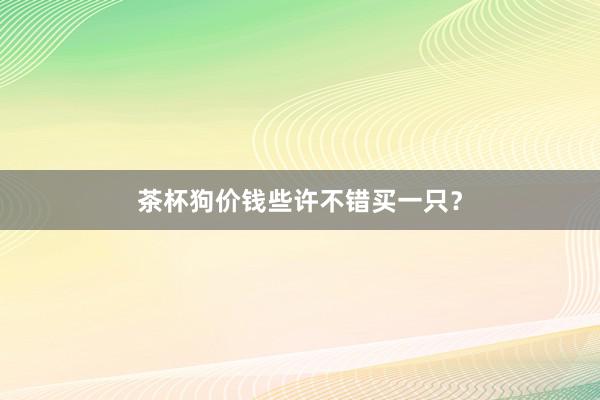 茶杯狗价钱些许不错买一只？